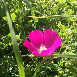 Meet your Posher, Eliza